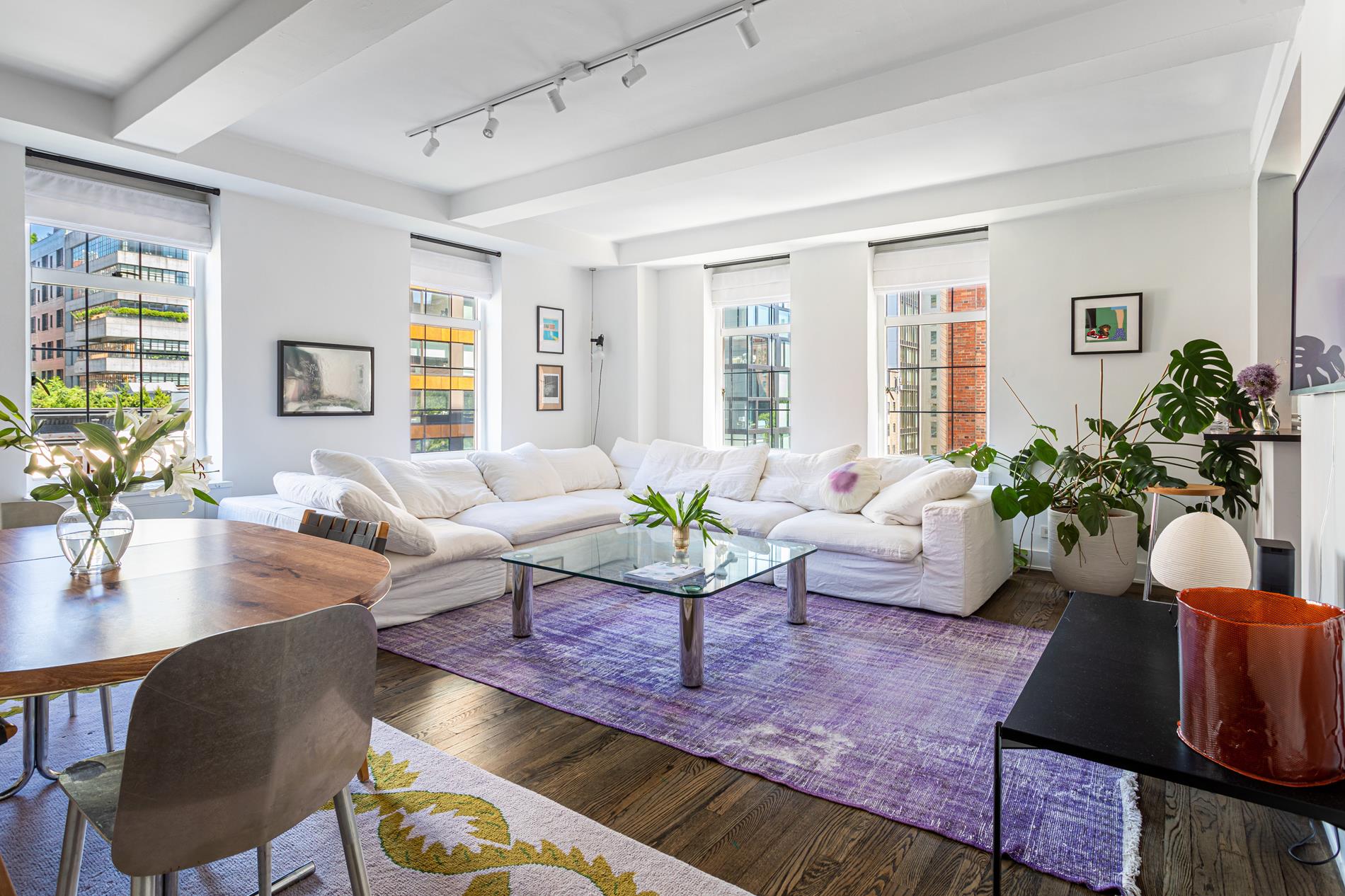 a living room with furniture potted plant and windows