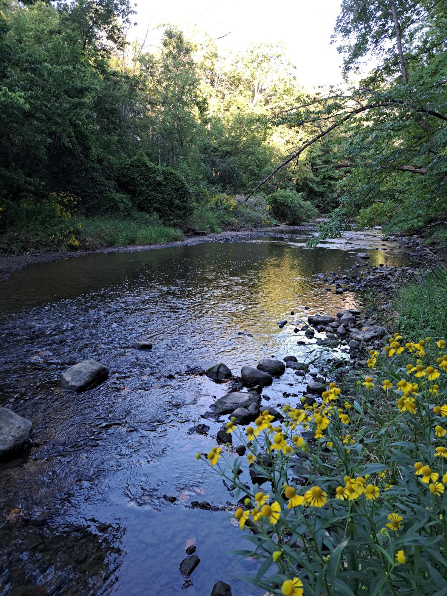 Menomonee_River_Lucille