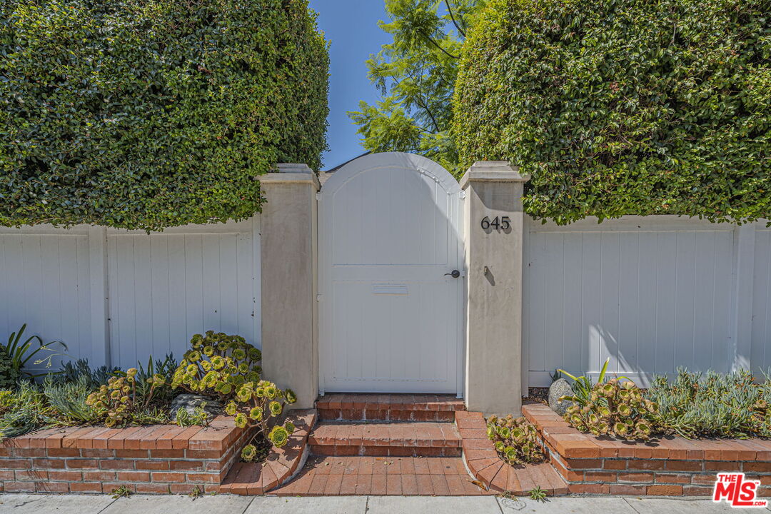 a view of a garden with plants