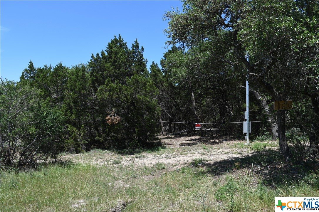 a view of outdoor space and yard