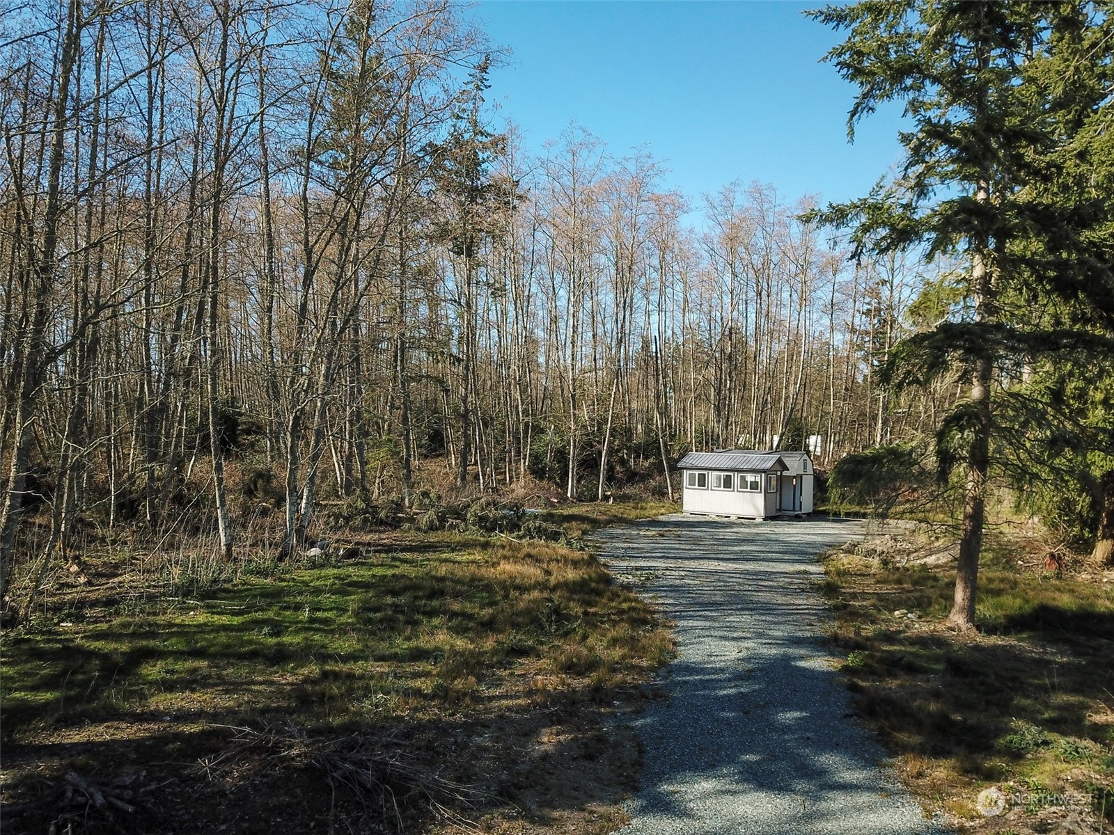 a view of outdoor space with trees