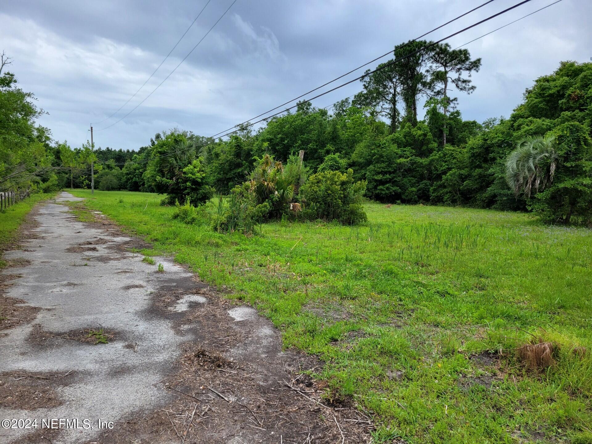 a view of a field with plants and trees in the background