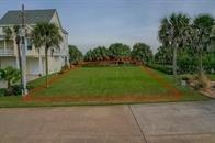 a view of a yard and palm trees