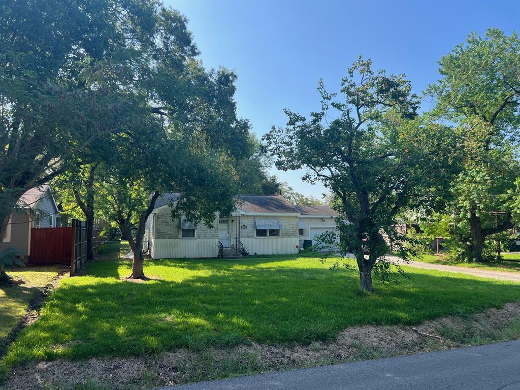 a view of a house with a big yard potted plants and large tree