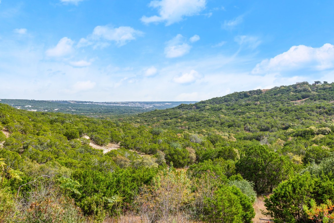 a view of a city with lush green forest