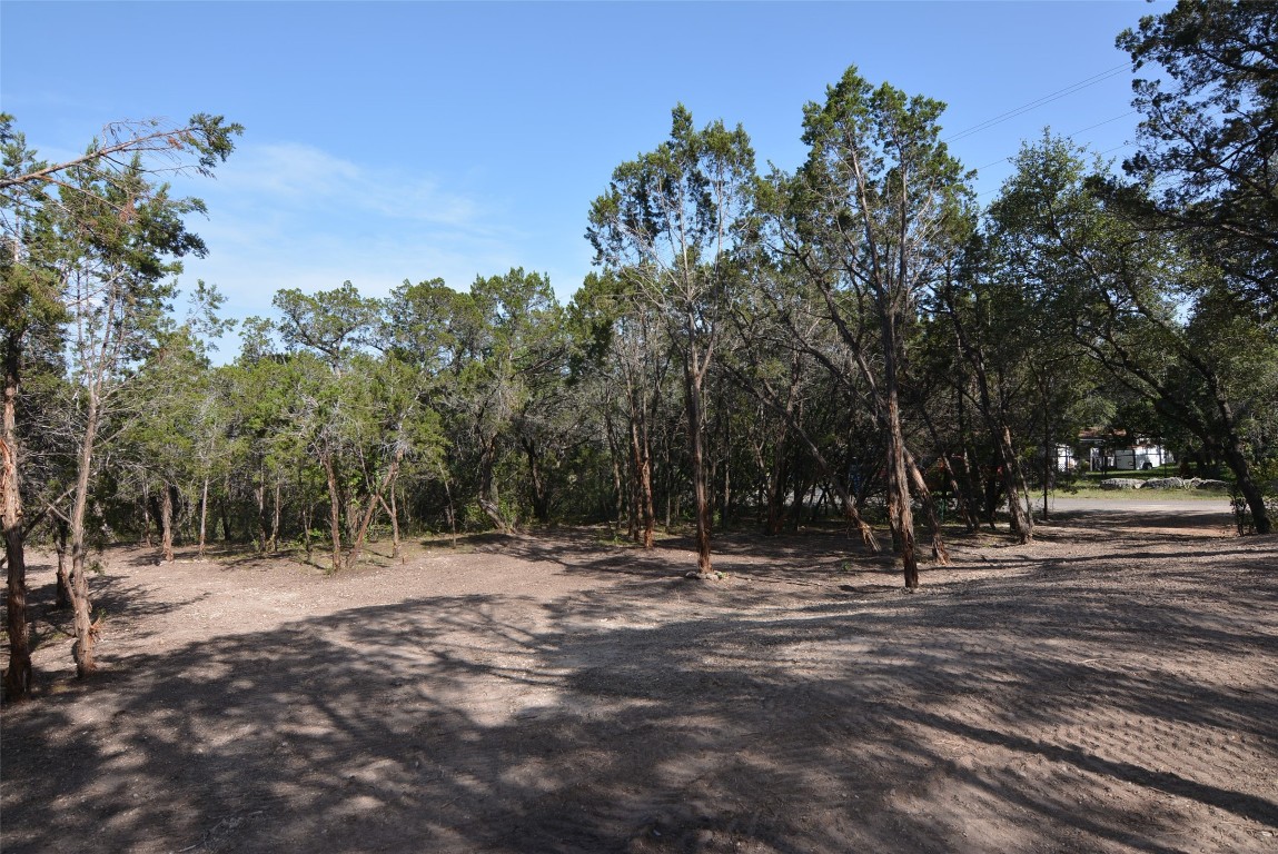 a view of outdoor space with trees