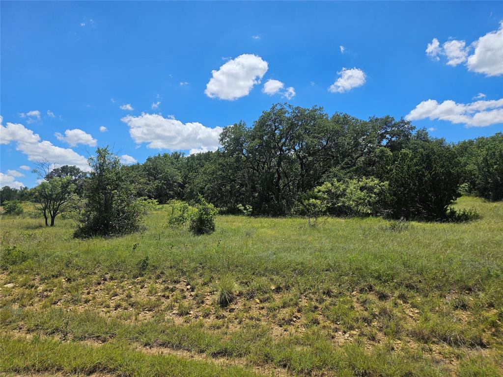 a view of a golf course with a tree