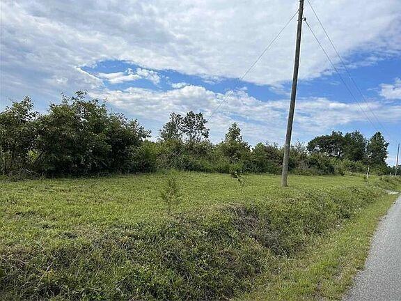 a view of a field with a tree in it