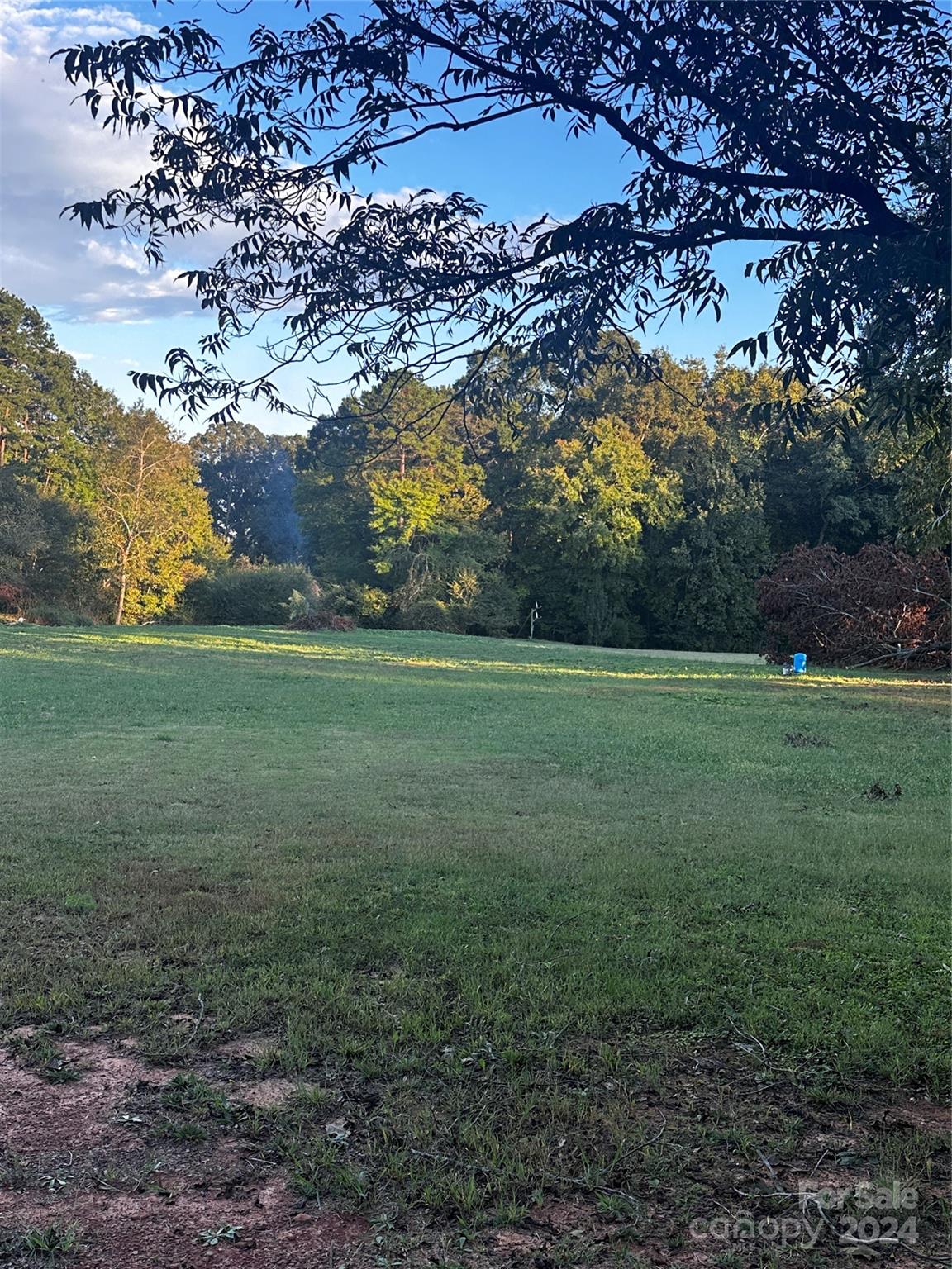 a view of a big yard with plants and large trees