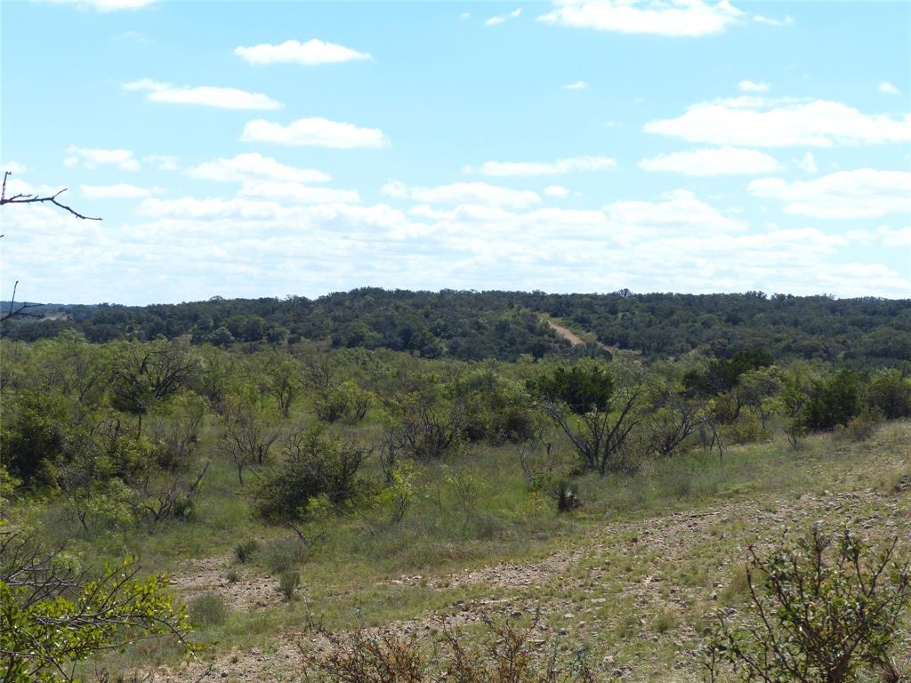 a view of a field with trees in the background