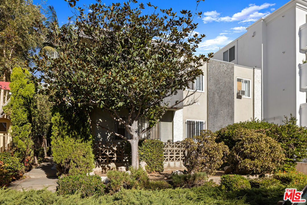 a view of a house with a tree