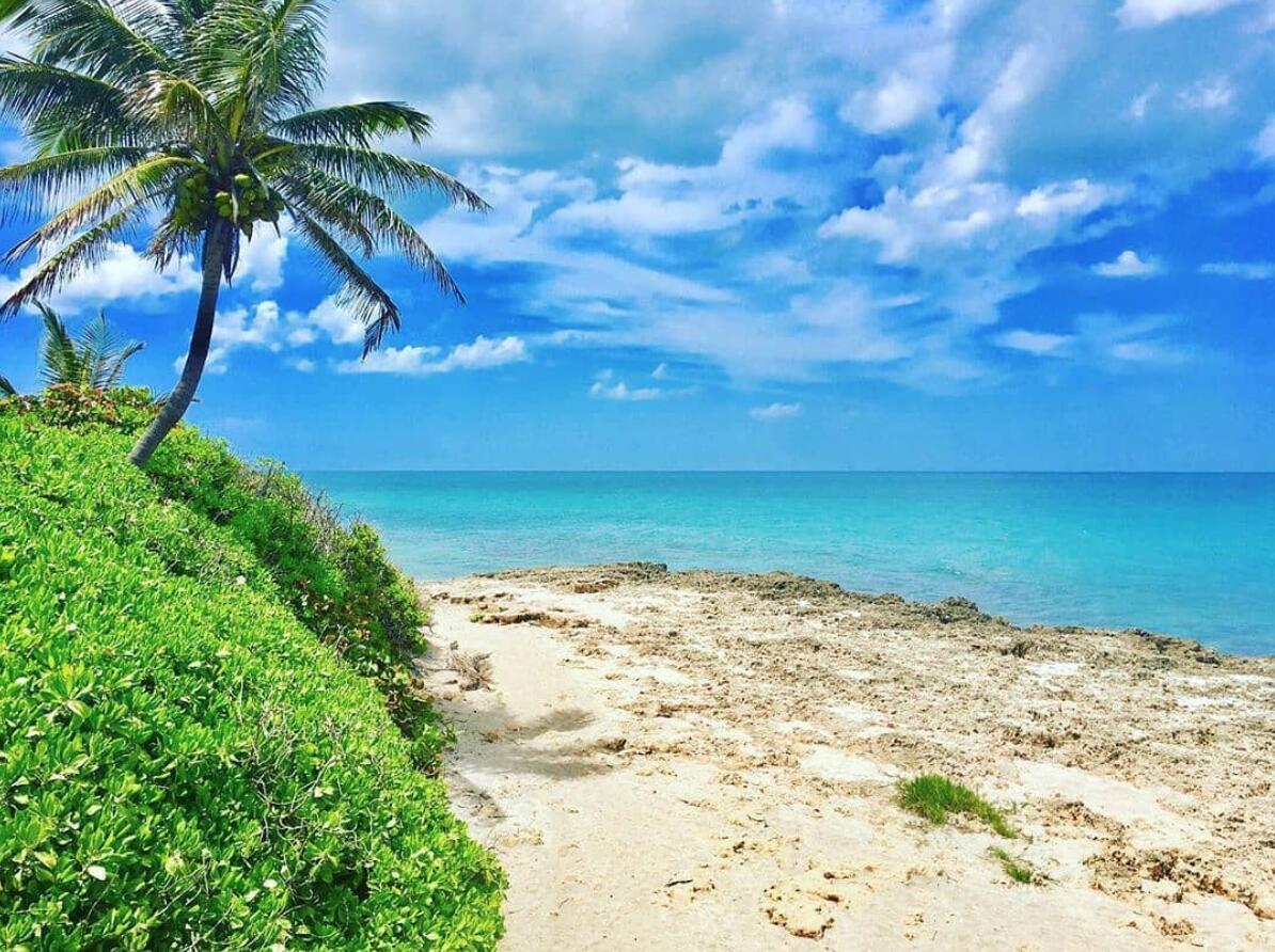 a view of ocean view with beach