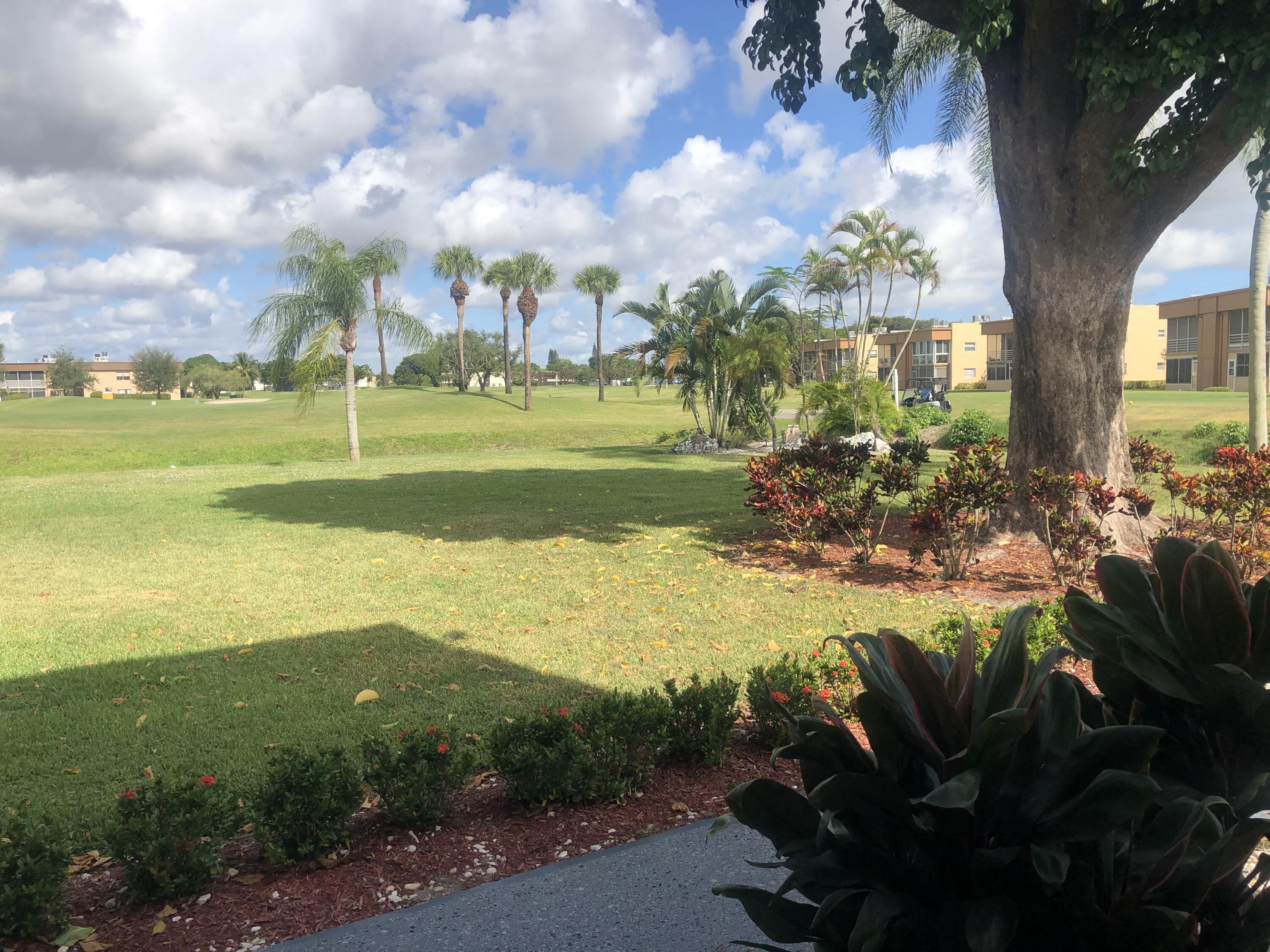 a view of a yard with an outdoor space