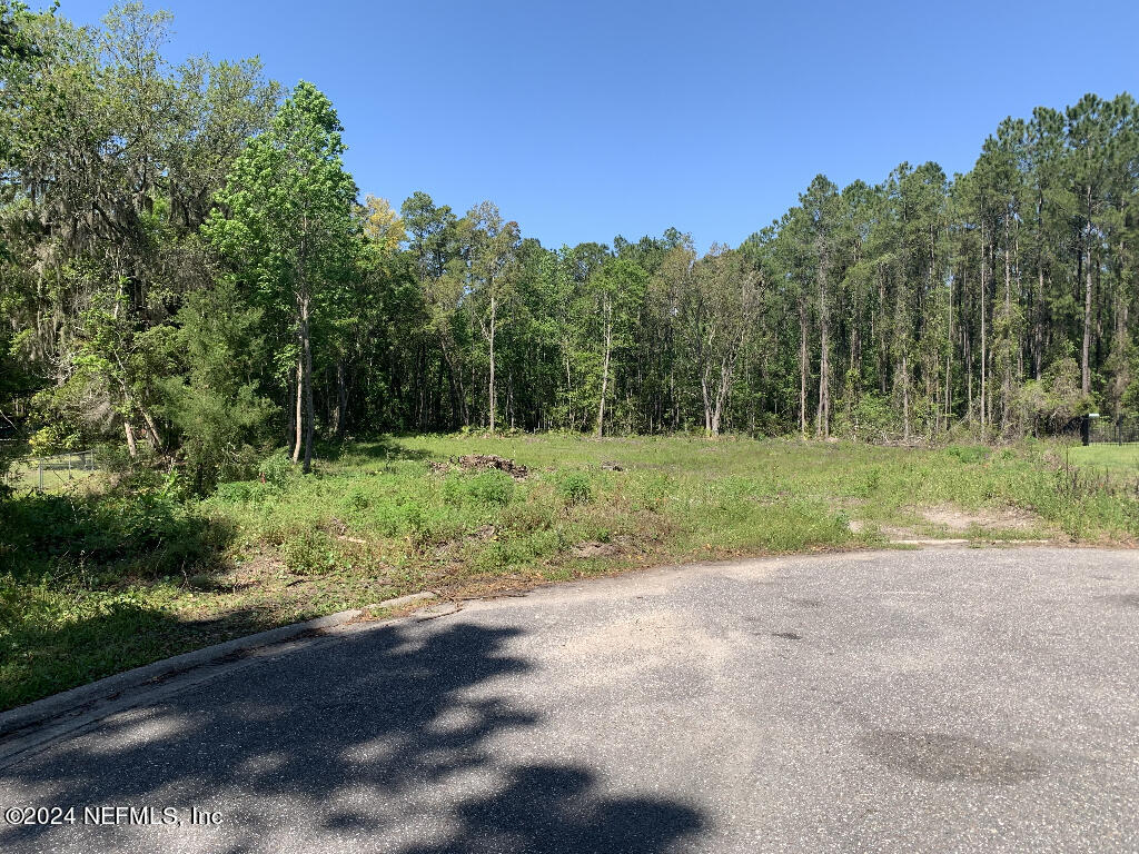 a view of a field with trees in background