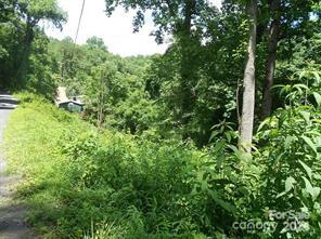 a view of a lush green forest