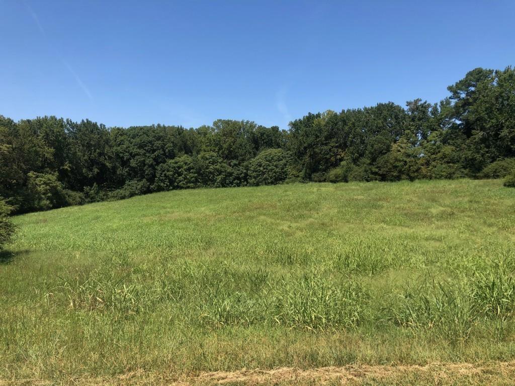 a view of lush green field