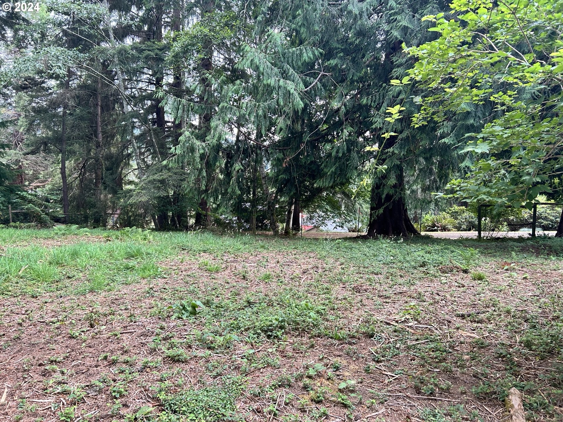 a view of outdoor space with trees