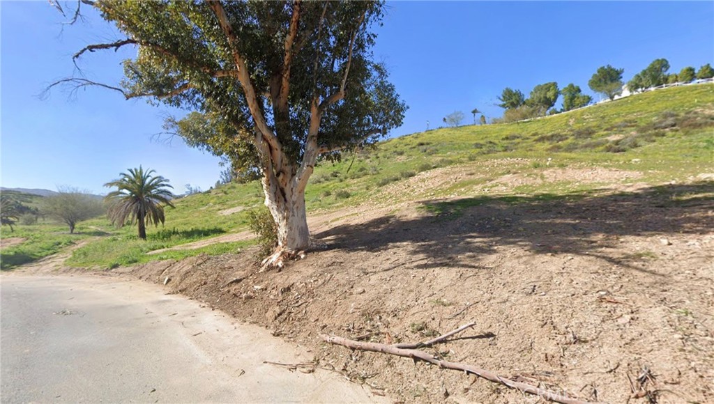 a view of a yard with a tree