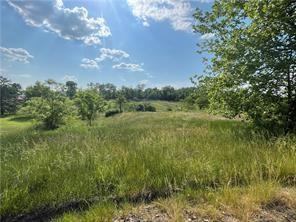 a view of a lush green space