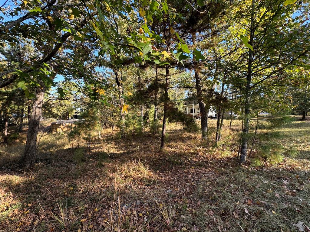 a view of a yard with a tree