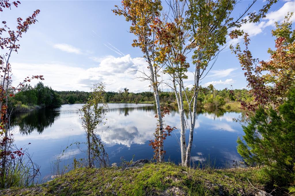 a view of a lake from a yard