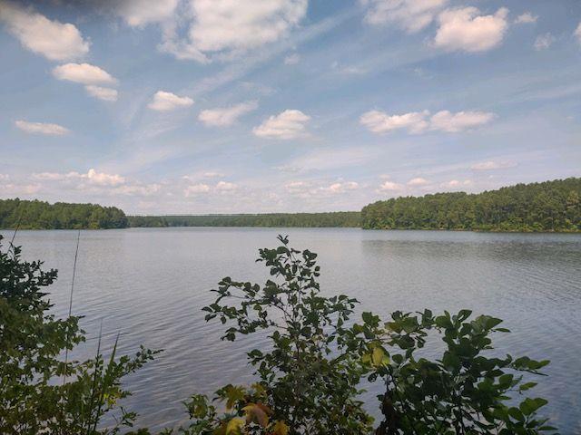 a lake view with boat and palm trees