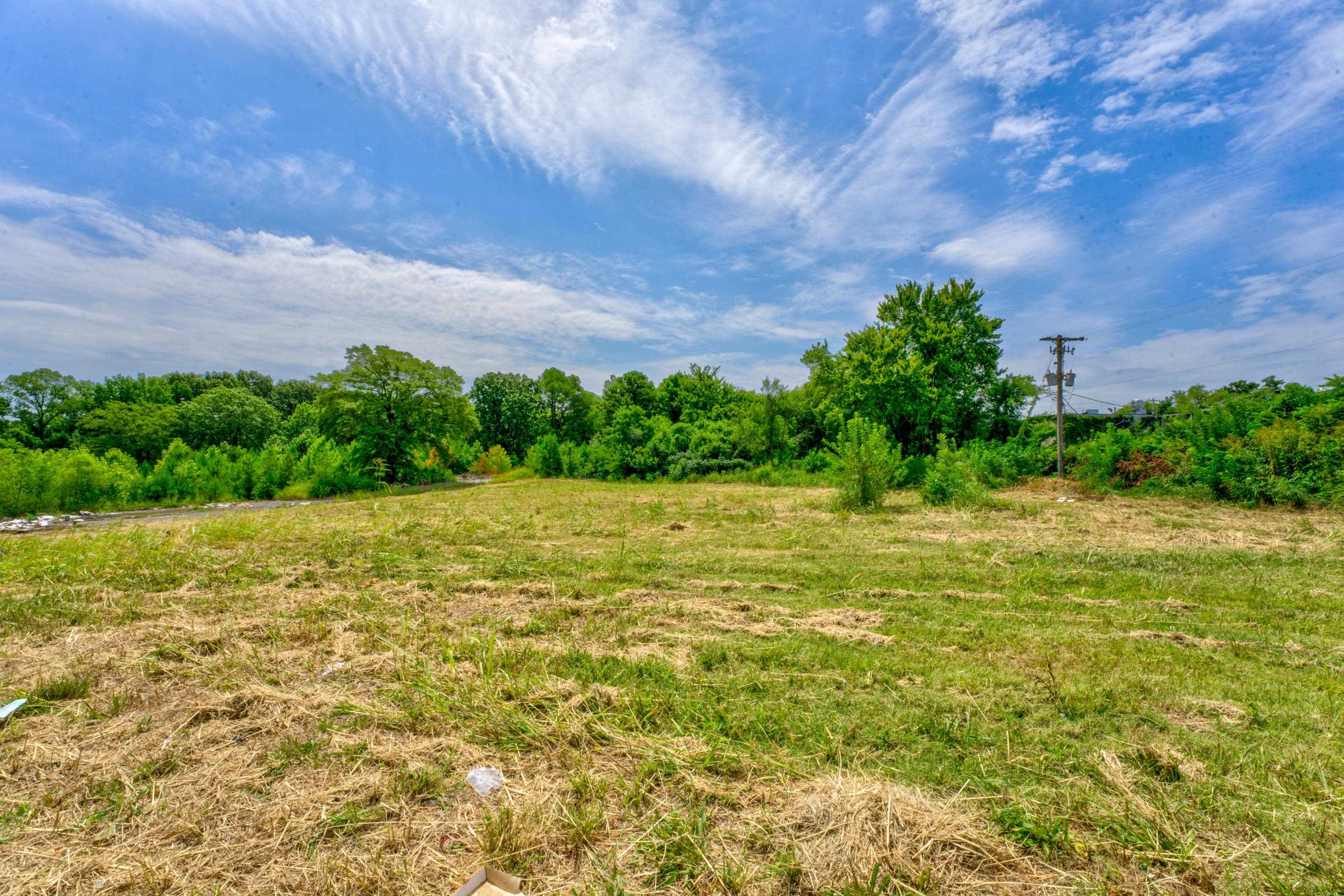 a view of a yard with an trees