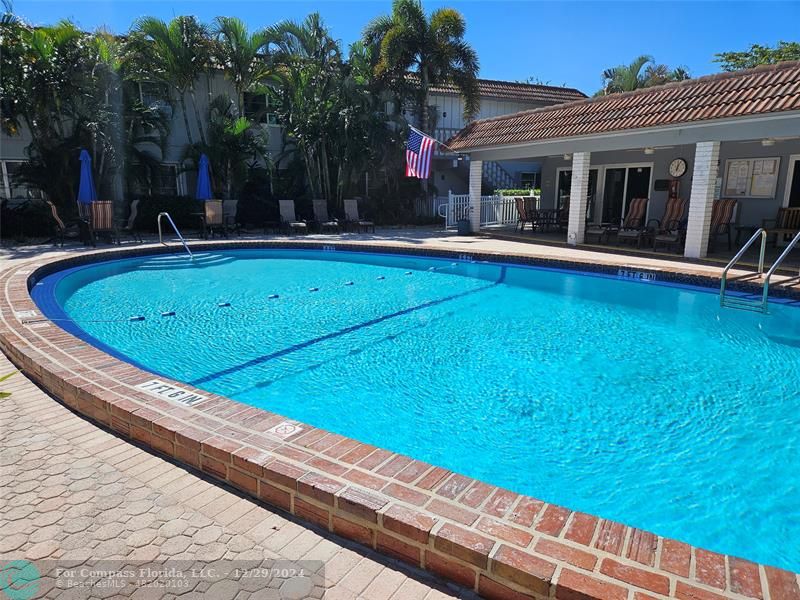 a view of swimming pool with lawn chairs and plants