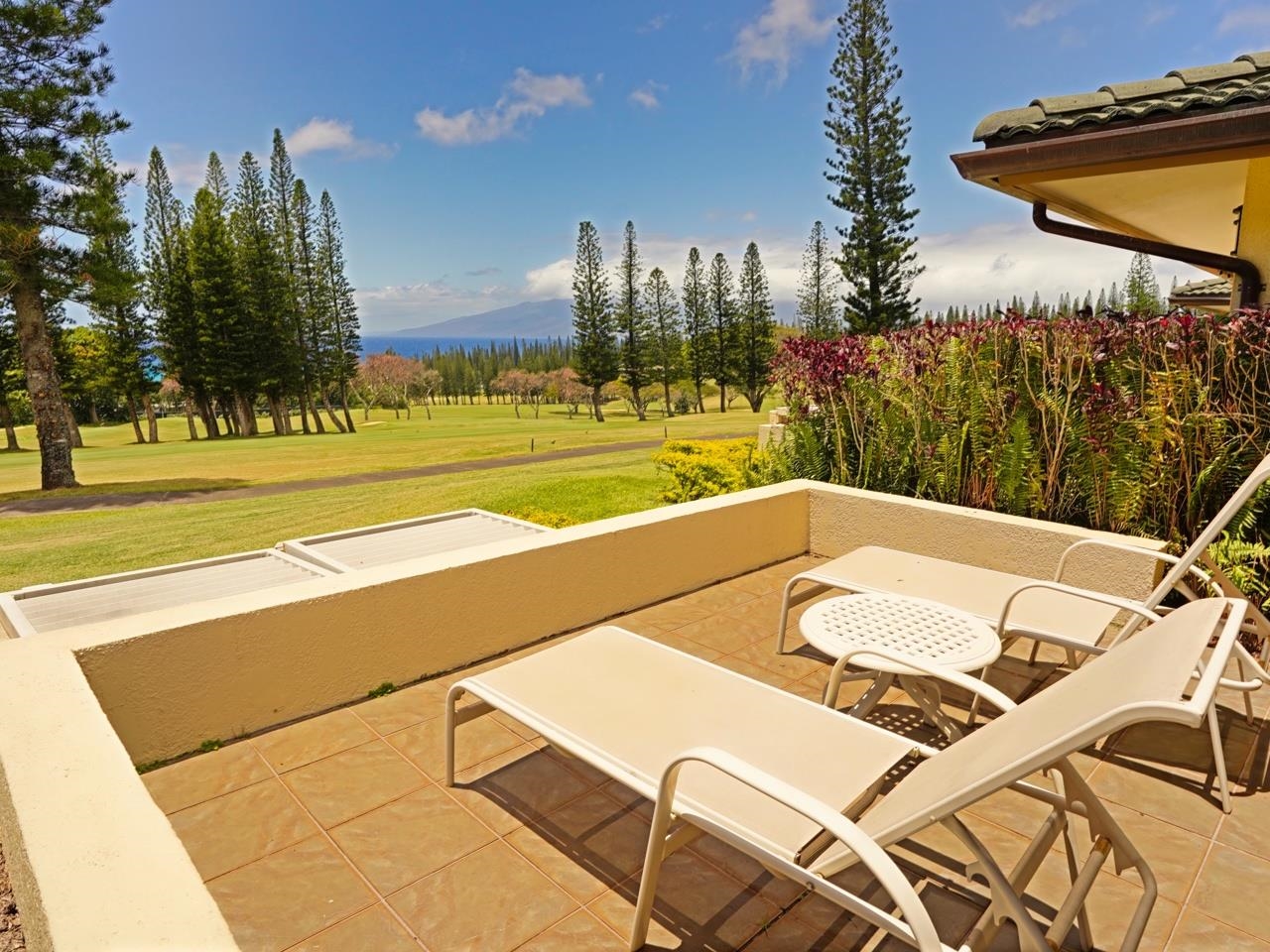 a view of a swimming pool with a patio and a yard