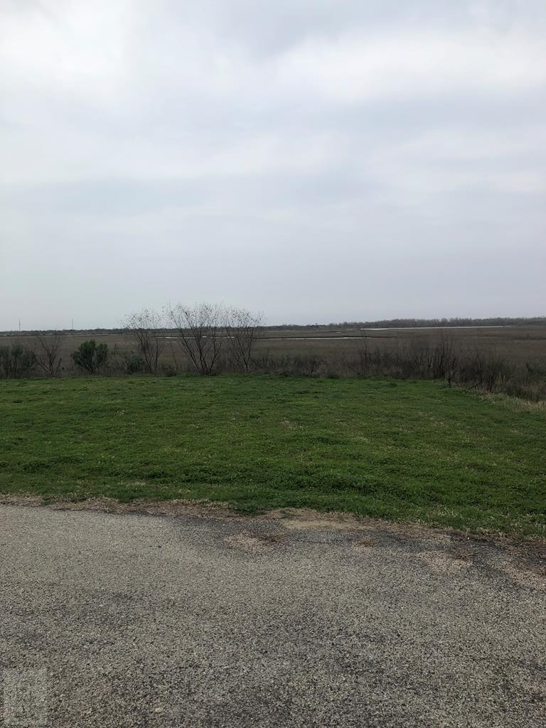 a view of a field with grass and trees