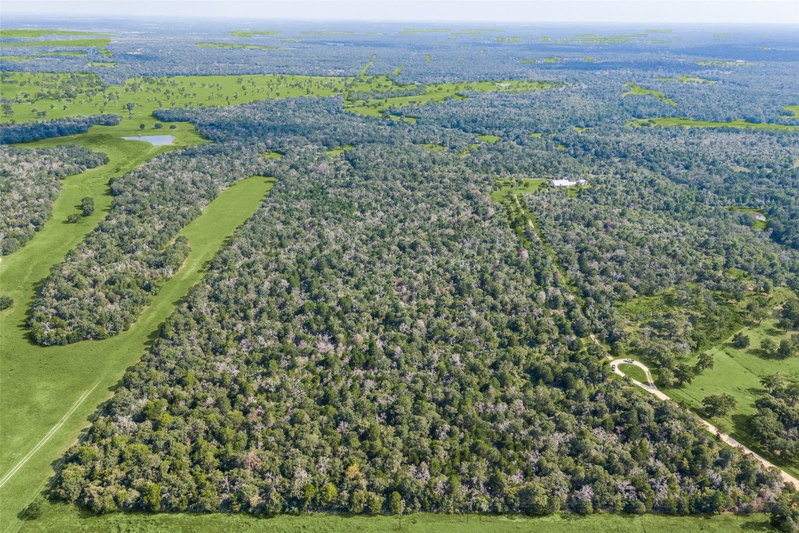 a view of a green field with lots of bushes