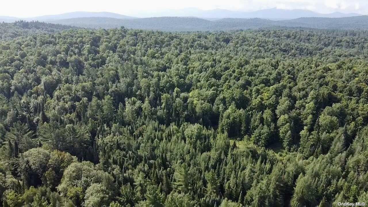 a view of a green field with lots of bushes