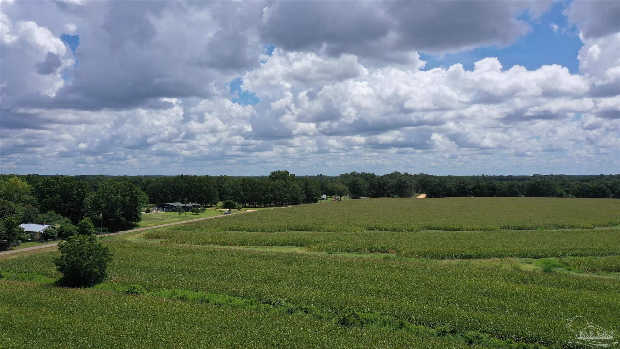 a view of grassy field