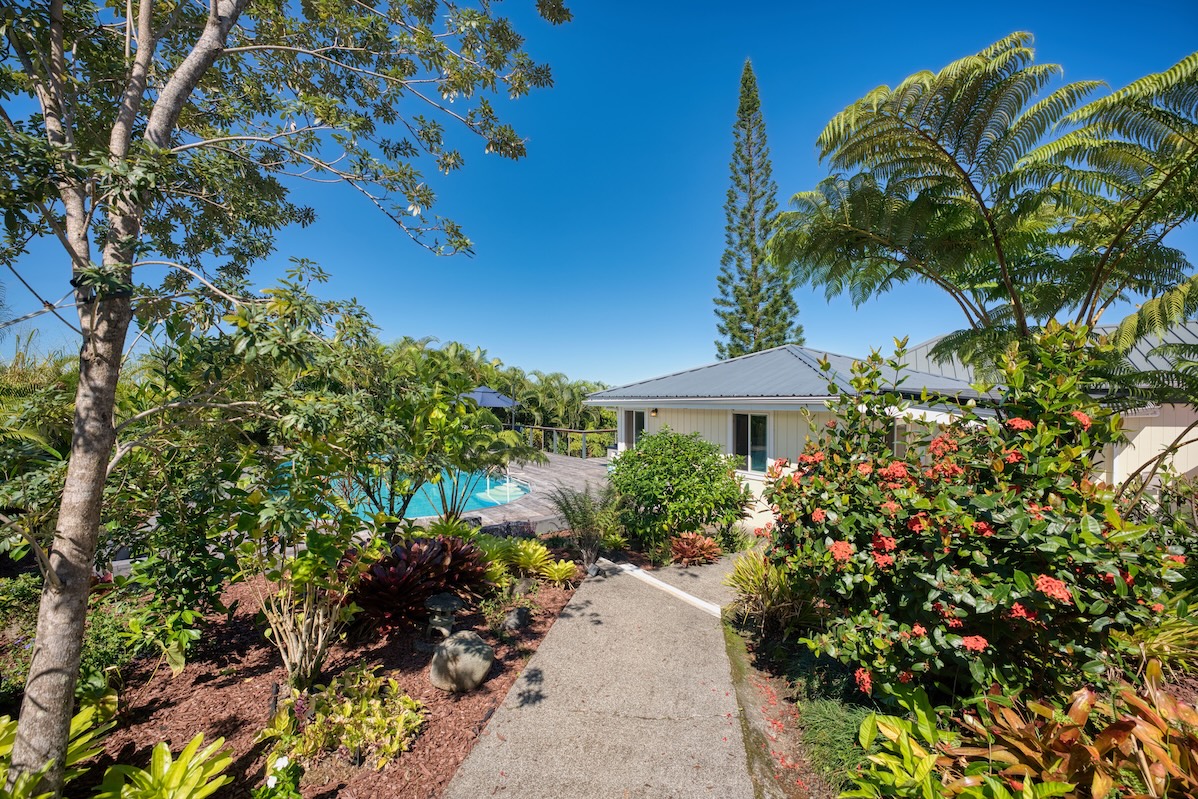 a view of a garden with a flower in a garden