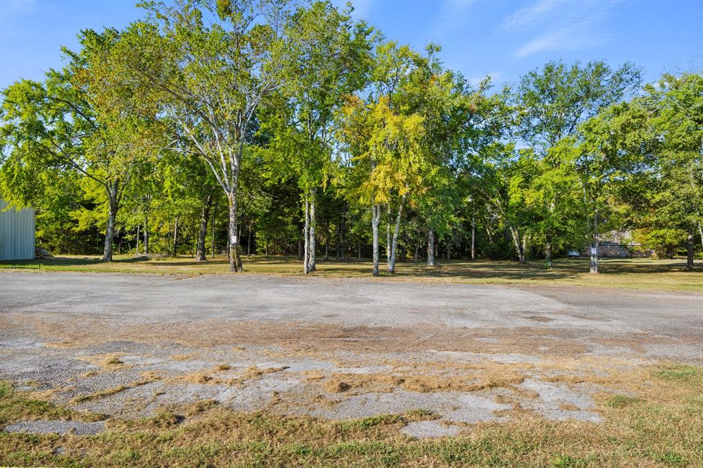 a view of outdoor space with trees