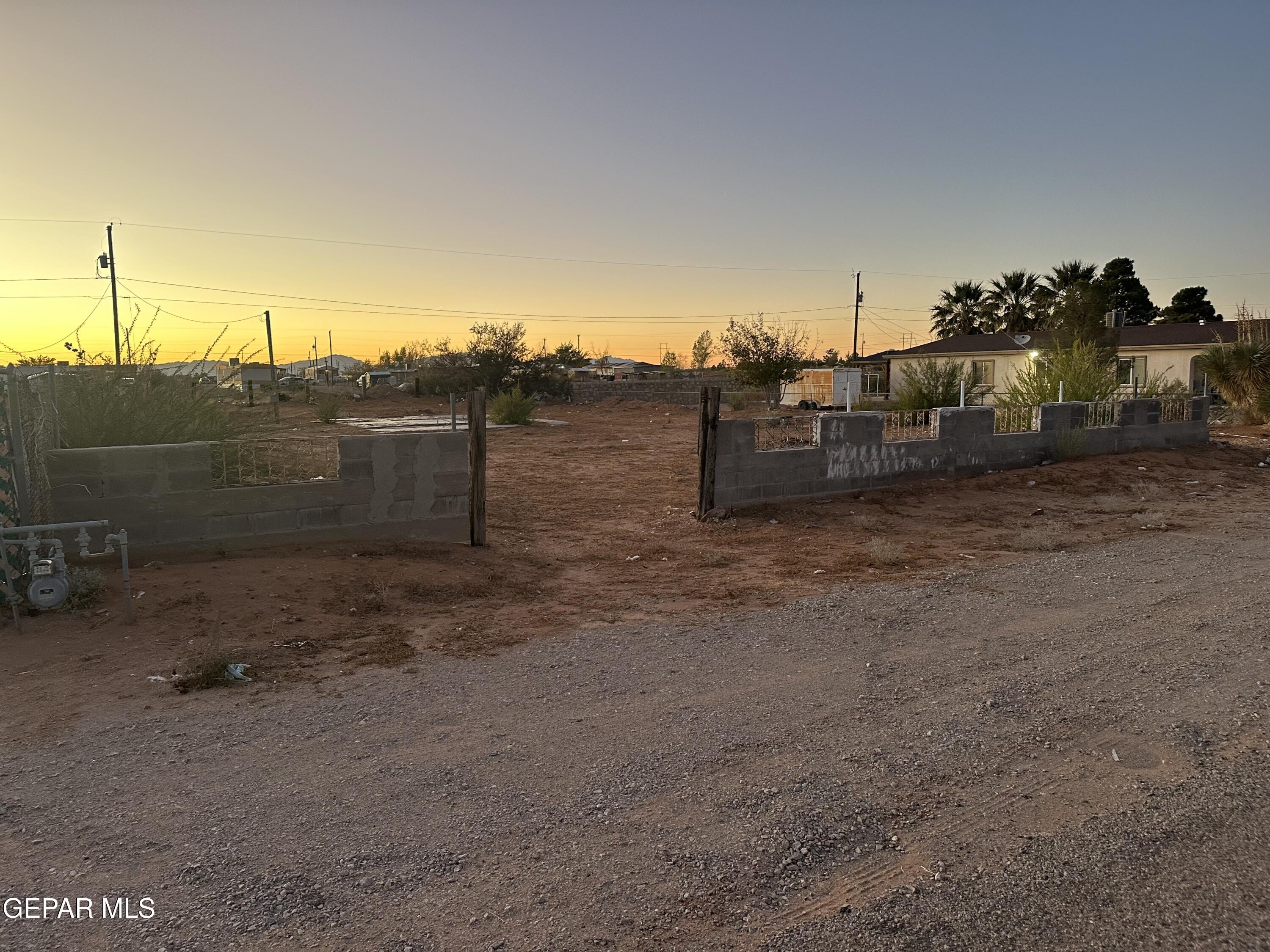 a view of a dry yard