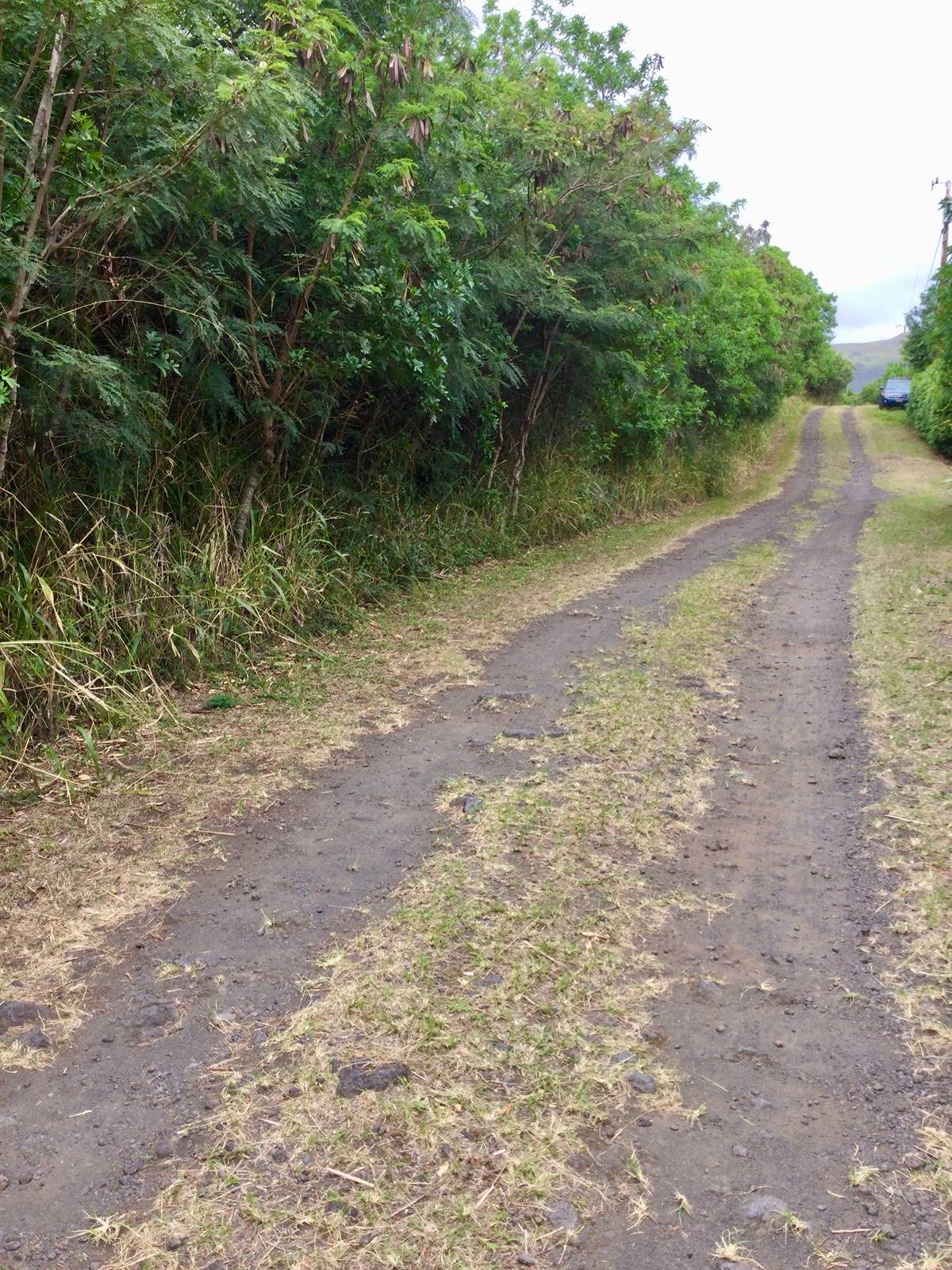 a view of a road with a yard