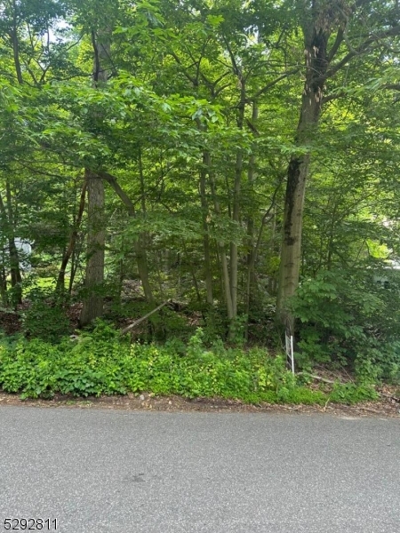 a view of a garden with a bench