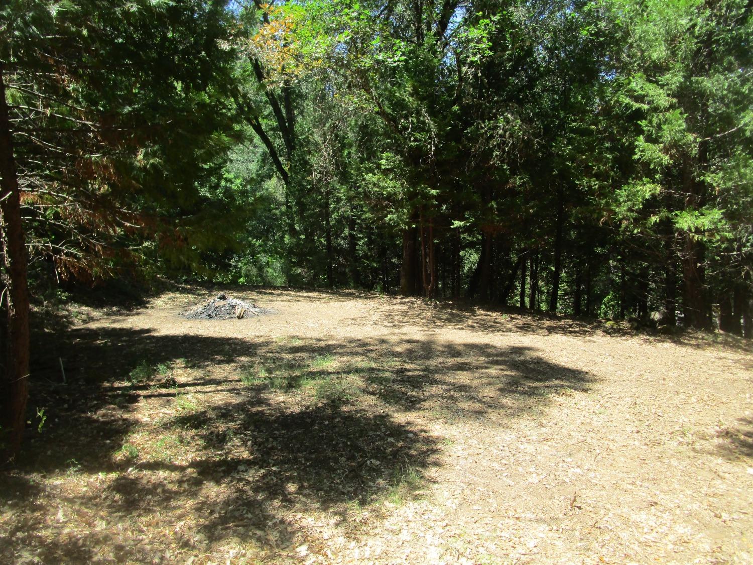 For nature enthusiasts, this property is a dream come true. Explore the possibilities of hiking, biking, or horseback riding on the nearby trails, where you can immerse yourself in the untouched beauty of the surrounding wilderness. The region is known for its diverse wildlife, offering glimpses of deer, eagles, and other native species. With the Oregon Creek swimming hole less than ¼ mile away, you will want to spend many summer days in its cooling and refreshing waters. Numerous fly-fishing opportunities abound on nearby Yuba River.   With its ample size, the property provides abundant opportunities for outdoor activities and development. Create your own garden oasis, complete with flower beds, fruit trees, and a vegetable patch. The ample space also allows for the addition of outbuildings, workshops, possibly a barn for livestock or even a yurt for hip-campers.