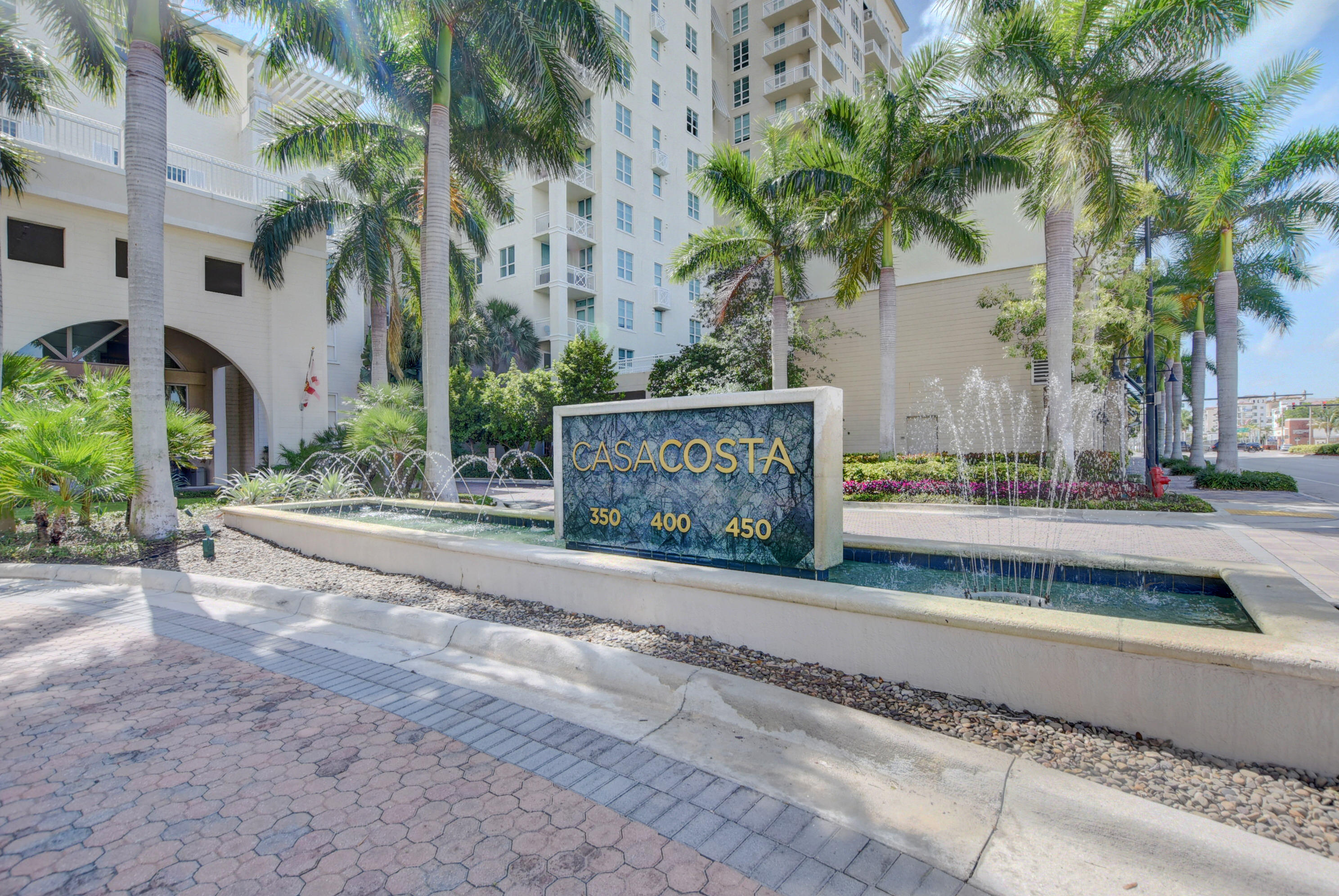 a view of a park with palm trees