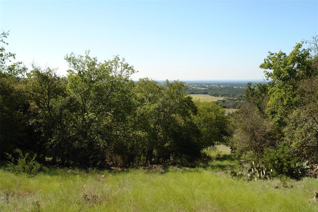 a view of a garden