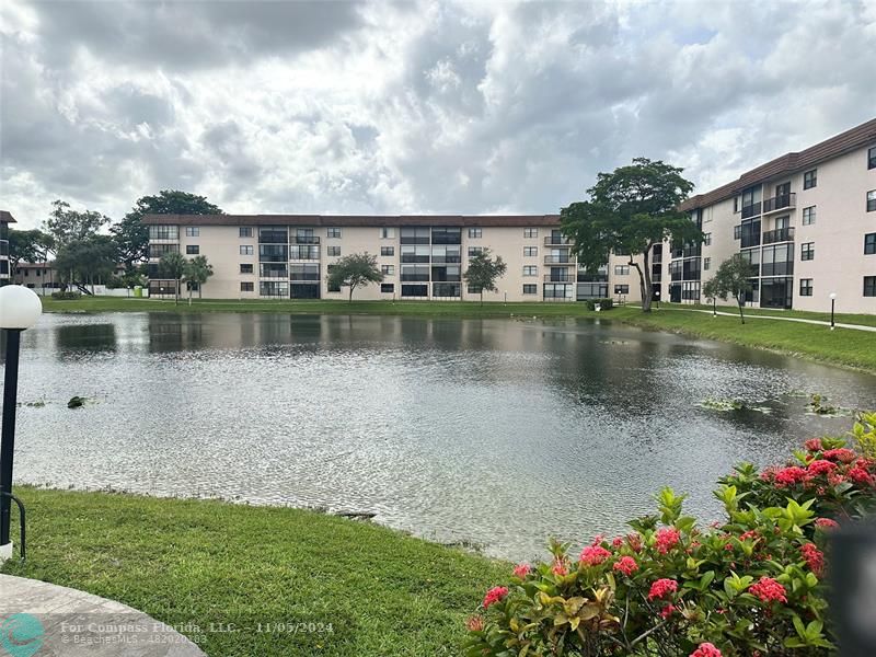 a view of a lake with a yard