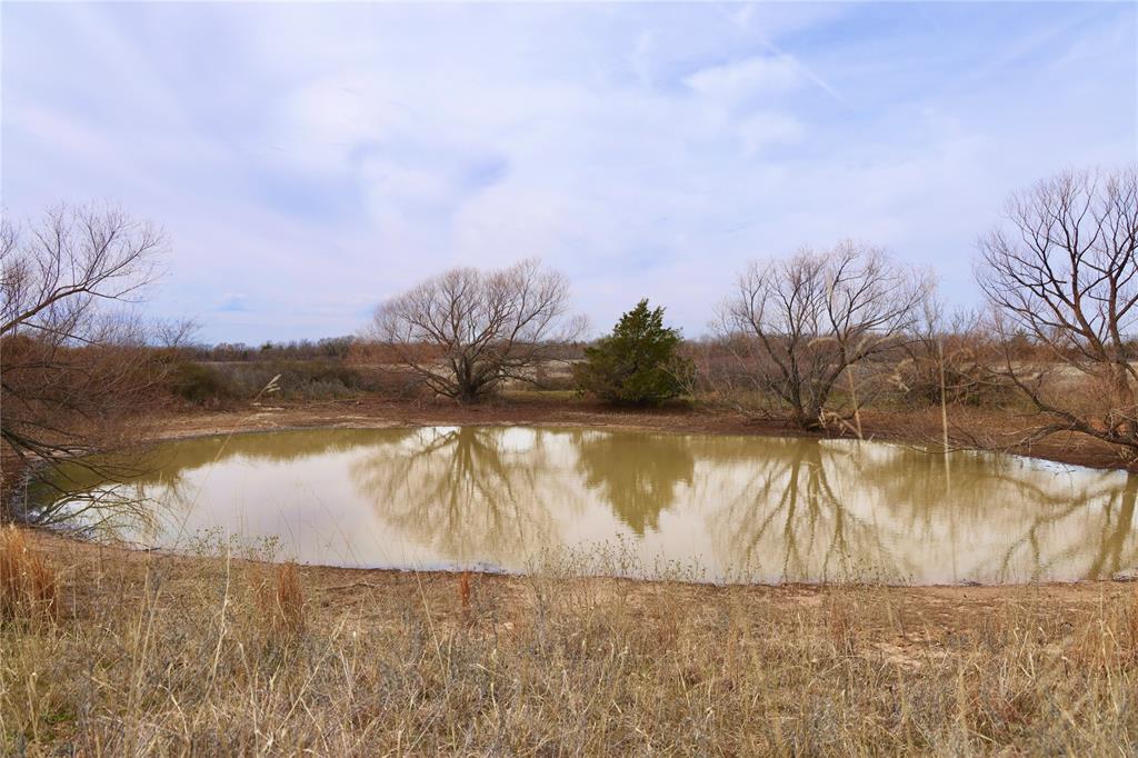 a view of a lake from a yard