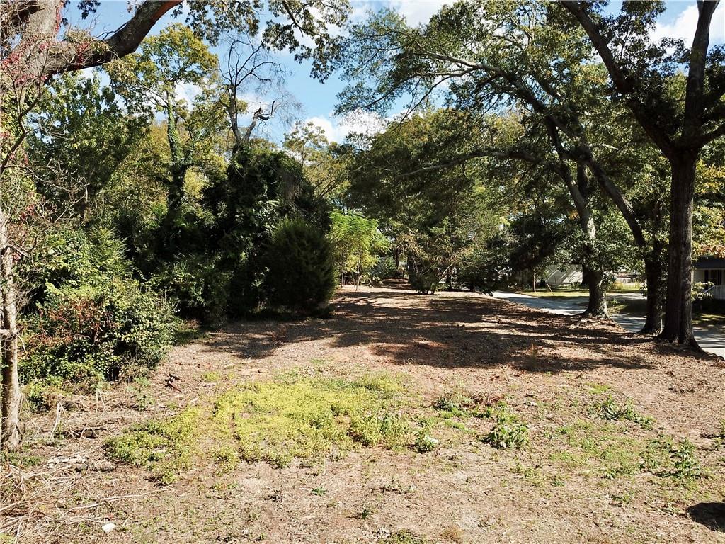 a view of dirt yard with a tree