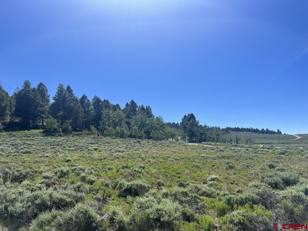 a view of a field with trees in background