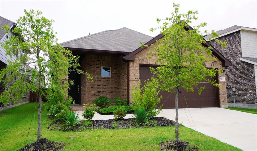 a view of a house with a small yard and plants