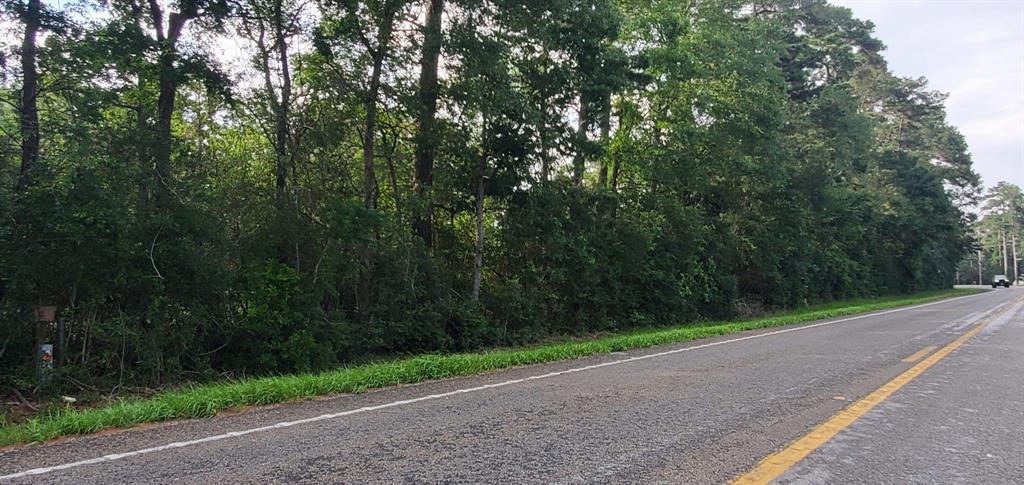 a view of a road with a trees