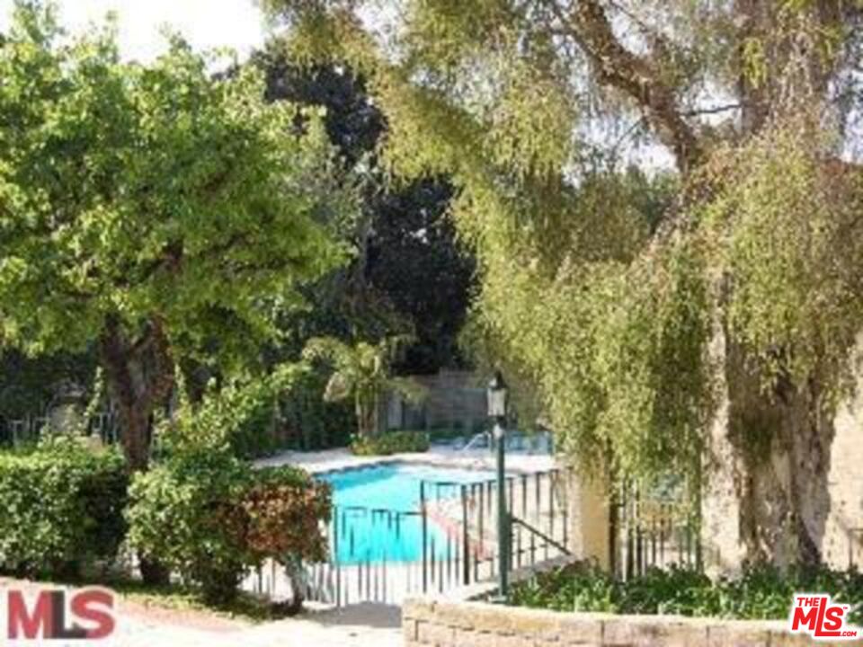 a view of a yard with plants and trees