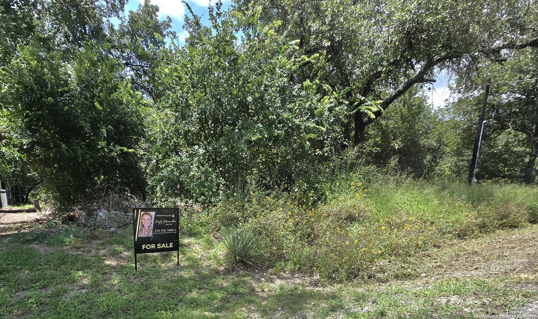 a view of a bench in a forest