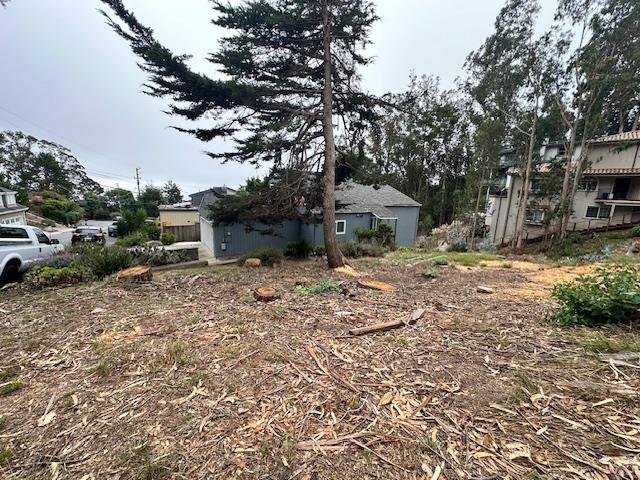 a view of a yard with plants and a tree